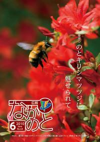 広報なかのと平成22年6月号