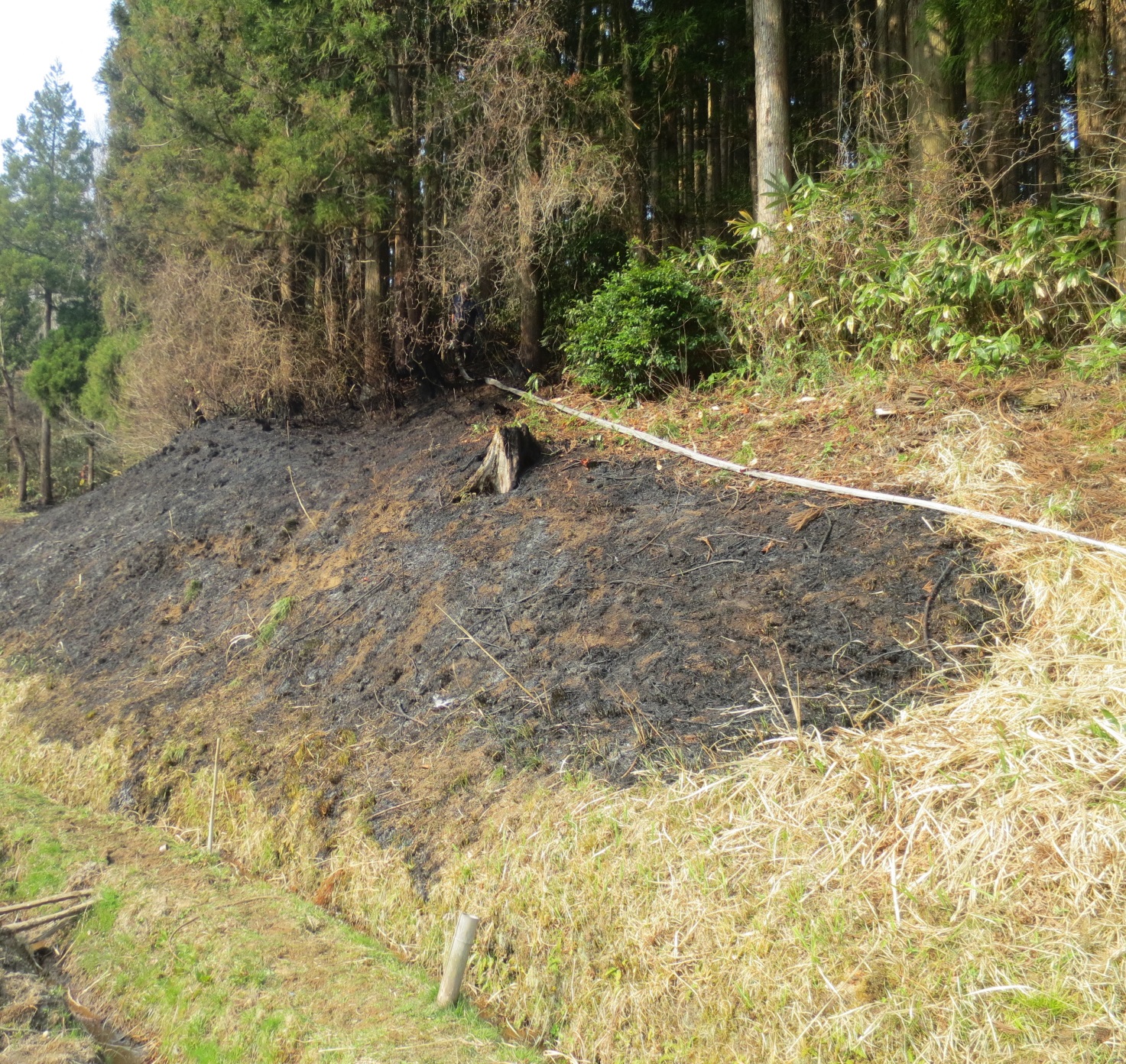 野焼きが原因の火事