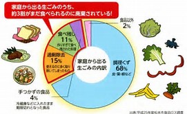家庭から出る生ごみの内訳