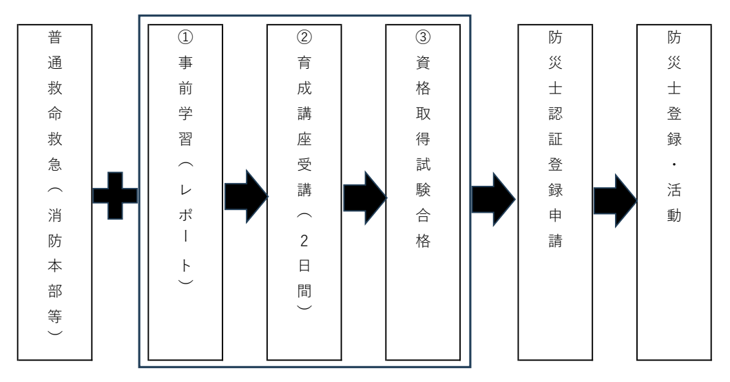 資格取得・活動までの流れ