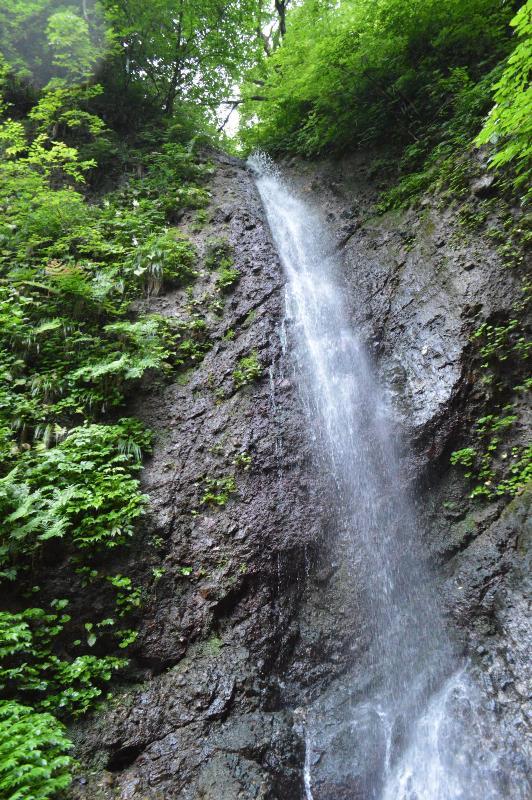井田地内の不動滝