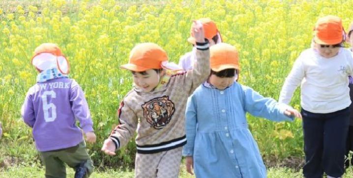 菜の花摘み（4月10日）