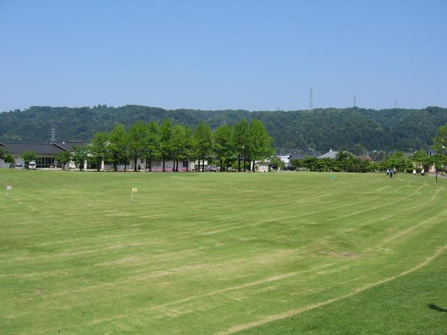 運動公園芝生広場