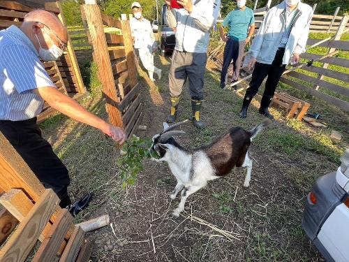 9月30日 スローツー事業のヤギ飼育場見学（井田地内）
