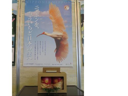 11月21日 NPO法人日本中国朱鷺保護協会より（トキが空を舞う日を祈願したリンゴ）2