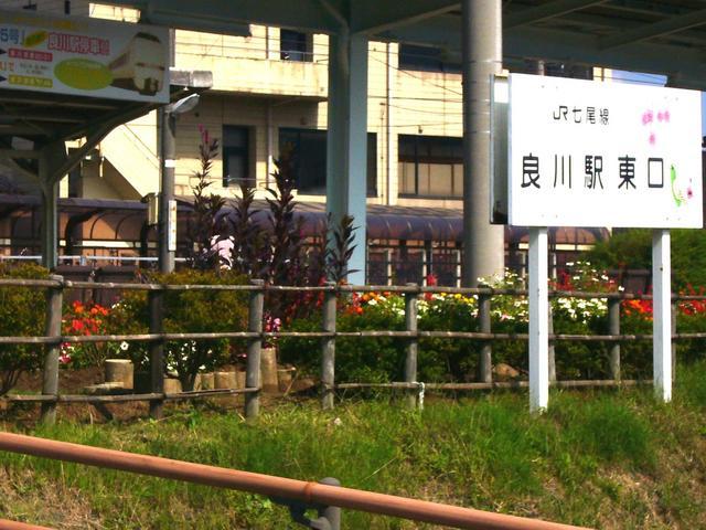 良川駅東口花壇には花がいっぱい